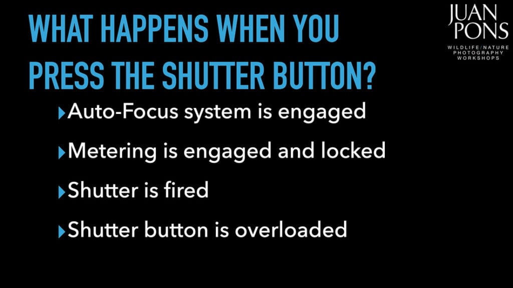 Shutter Button Actions 