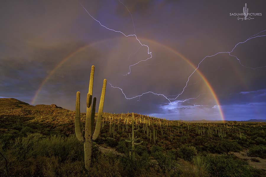 Storms & Saguaros Photography Workshop : Action Photo Tours