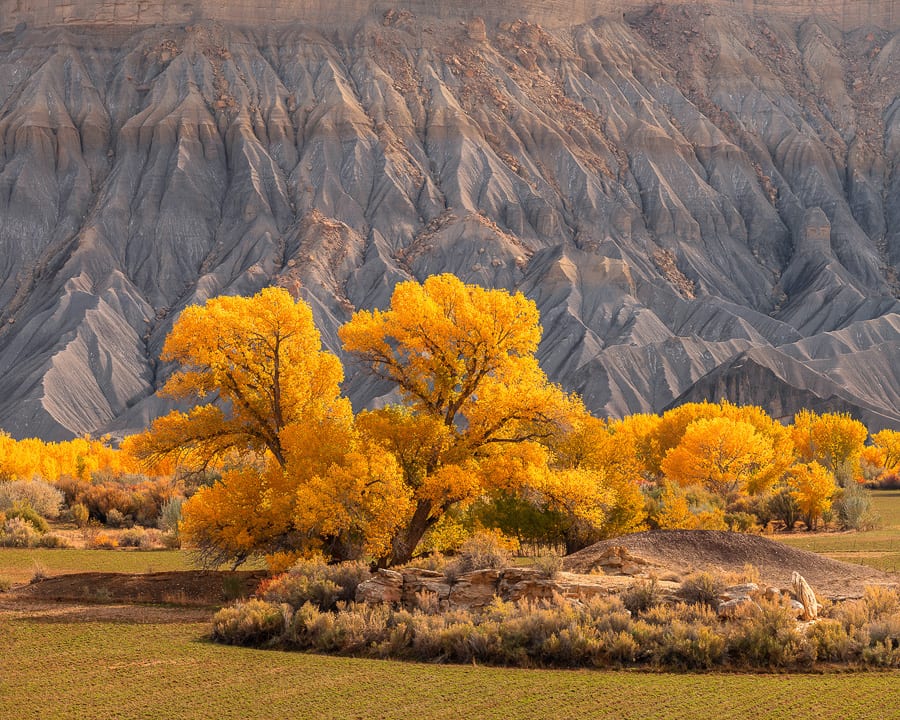 Utah Badlands Fall Colors Utah Badlands Fall Colors