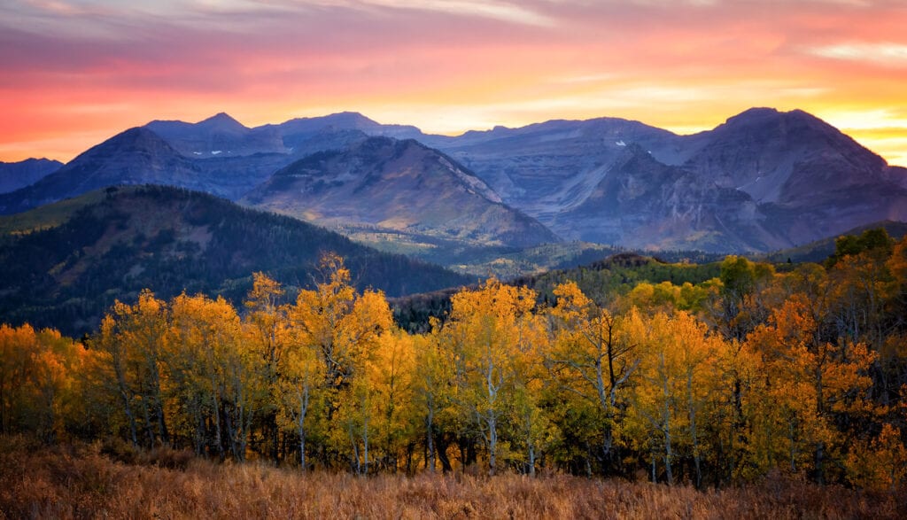 Northern Utah Fall Colors