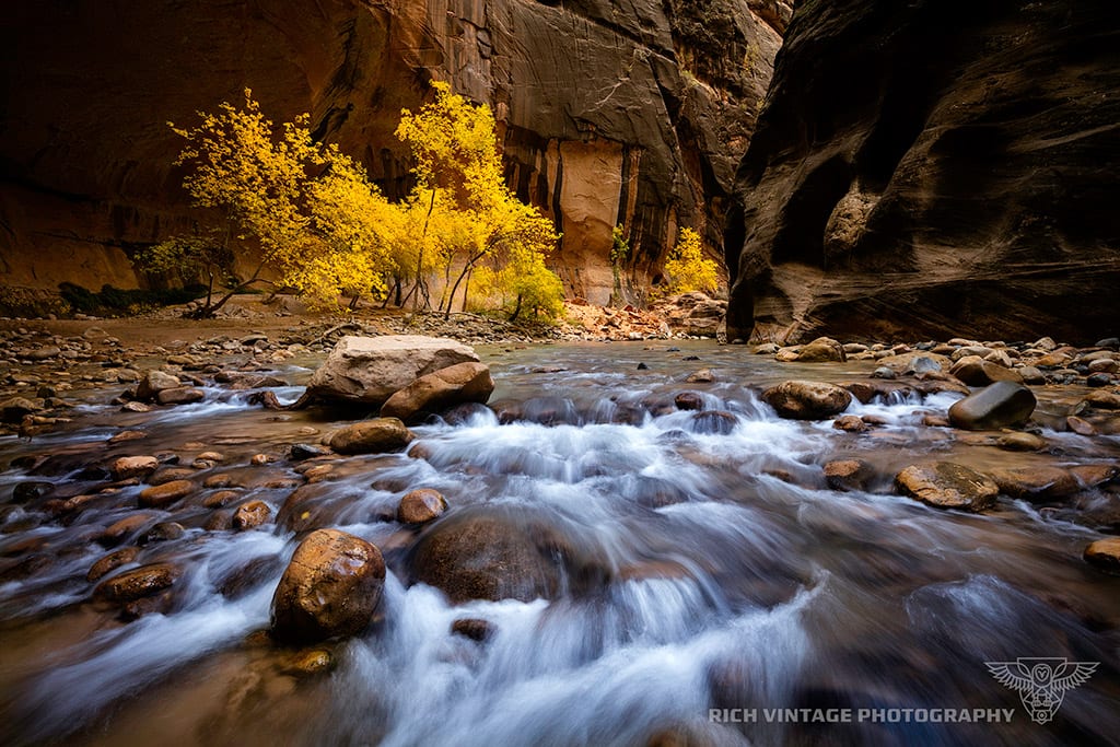 Second Place Action Photog Awards A.J. Rich Zion Narrows Autumn Fall Colors