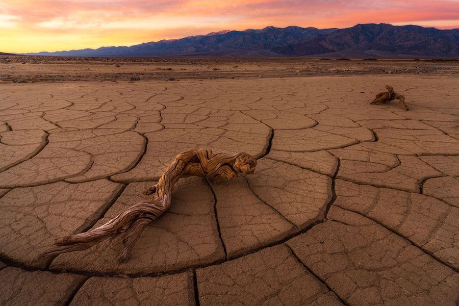 Death Valley Nickolas Mud Cracks