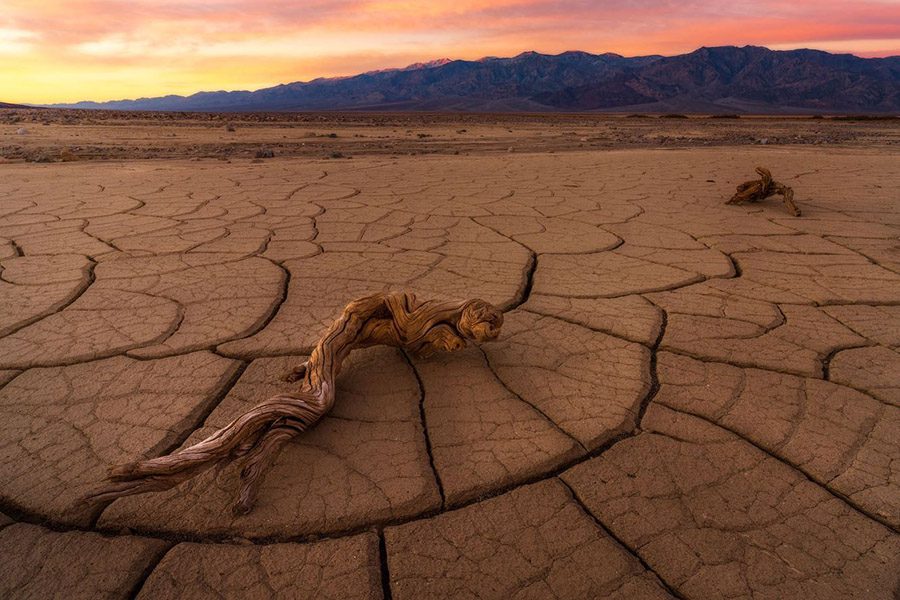 Death Valley Mud Cracks