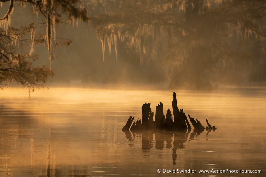 Cypress Swamps Photo Workshop Fall Autumn Texas Louisiana