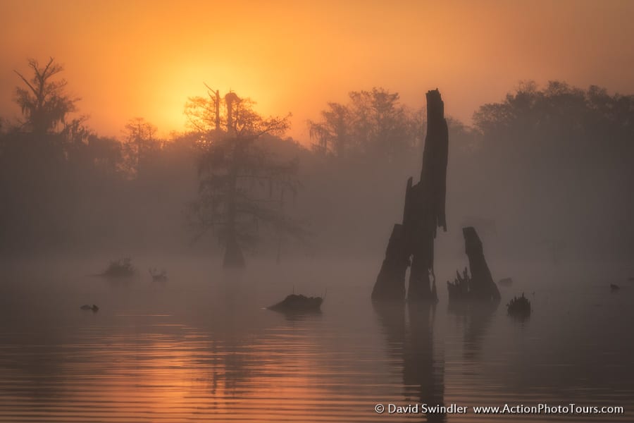 Cypress Swamps Photo Workshop Fall Autumn Texas Louisiana