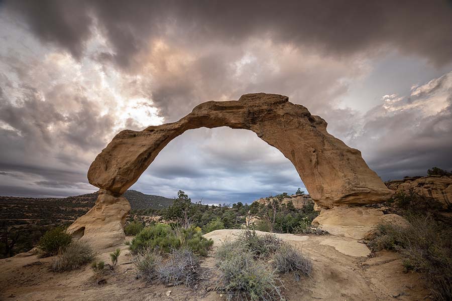 New Mexico Arch - Kathleen Gardner
