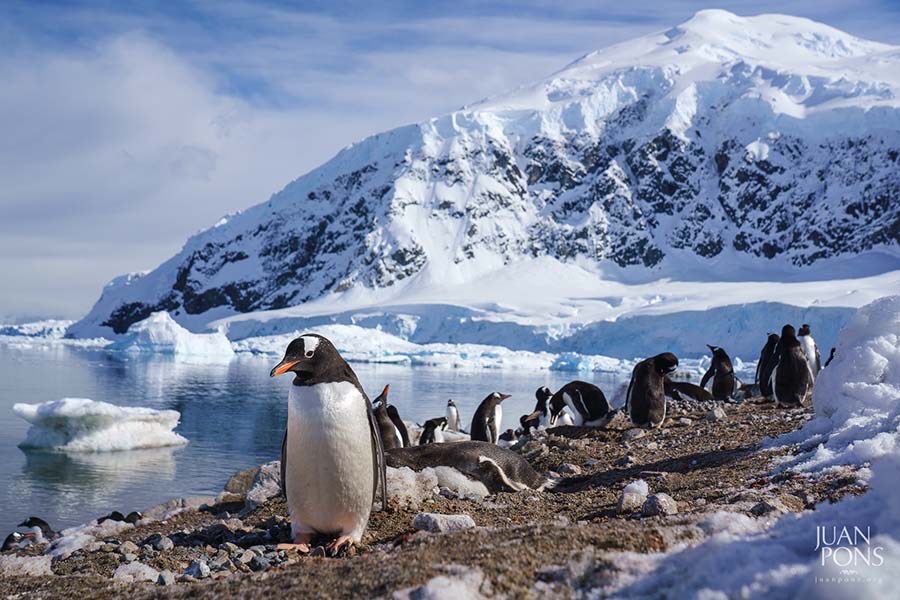 Juan Pons - Antarctica