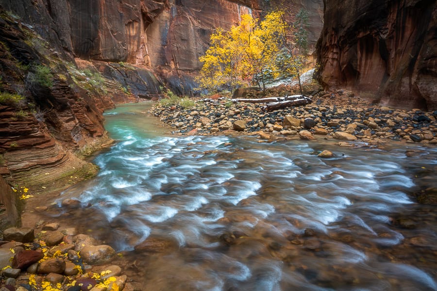 Zion Fall Colors Temple of Sinawava Canyon Colors Photo Workshop