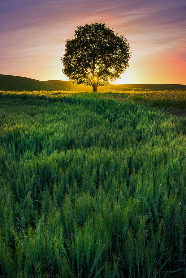 Palouse Photography Workshop