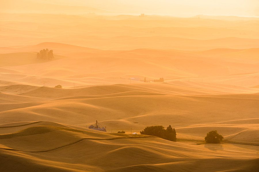 Palouse Harvest Photo Workshop Ryan McGinty