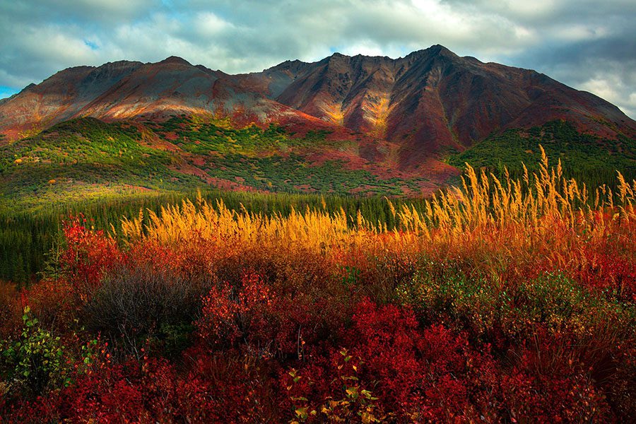 Alaska Fall Colors Photography Work, Slr Landscape Fairhope Al