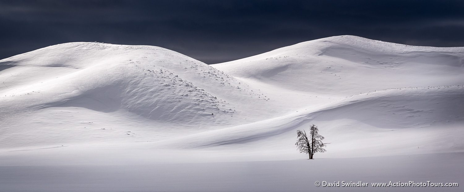 Yellowstone Photography Workshop