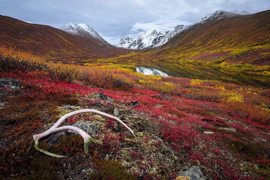 Alaska Fall Colors Photo Workshop