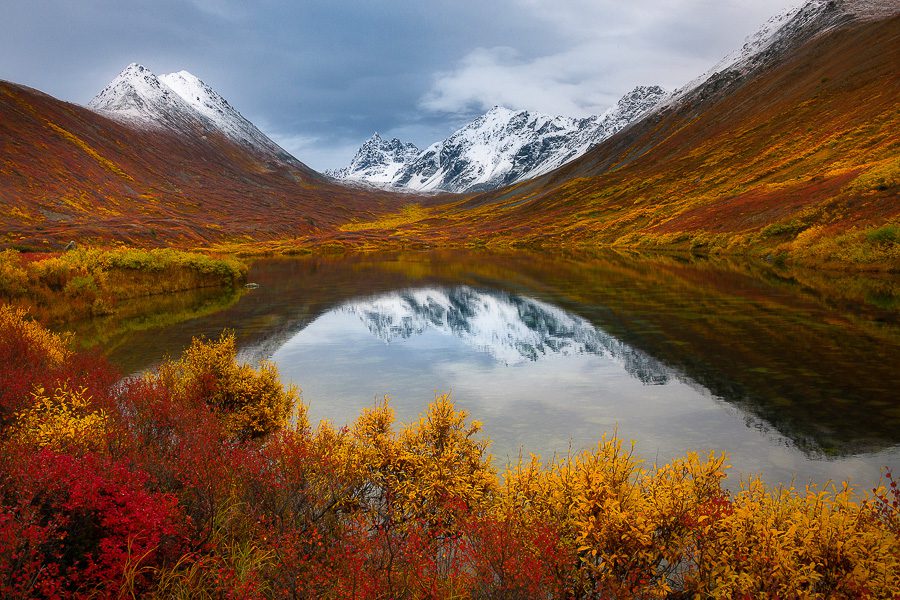 Images from around Cantwell in the state of Alaska during fall season