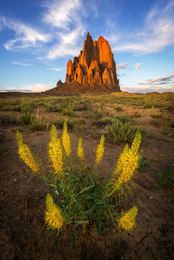 Bisti Badlands Photo Workshop