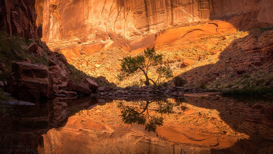 Lake Powell Houseboat Photo Workshop