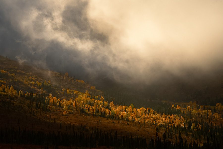 Images from the Dalton Highway north of Fairbanks in the state of Alaska during fall season