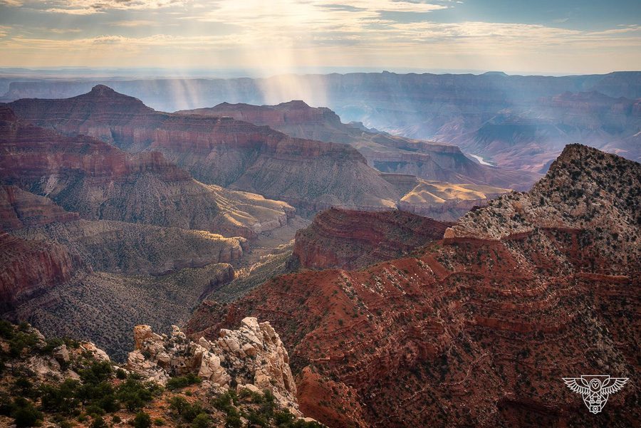 Grand Canyon Monsoon Workshop