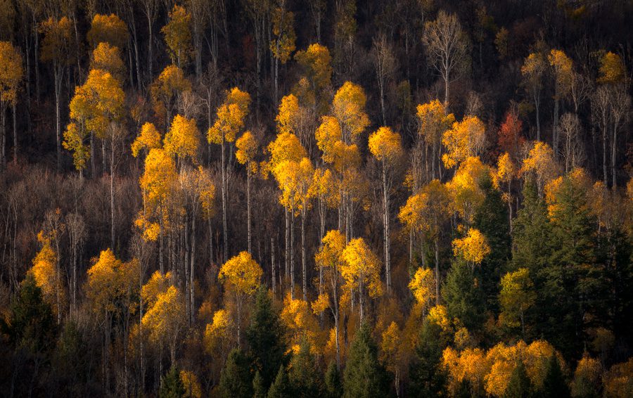 Northern Utah Fall Colors Photo Workshop Wasatch Uintas