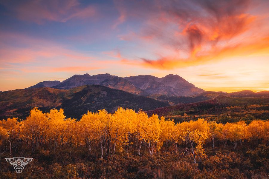 fall colors sunrise