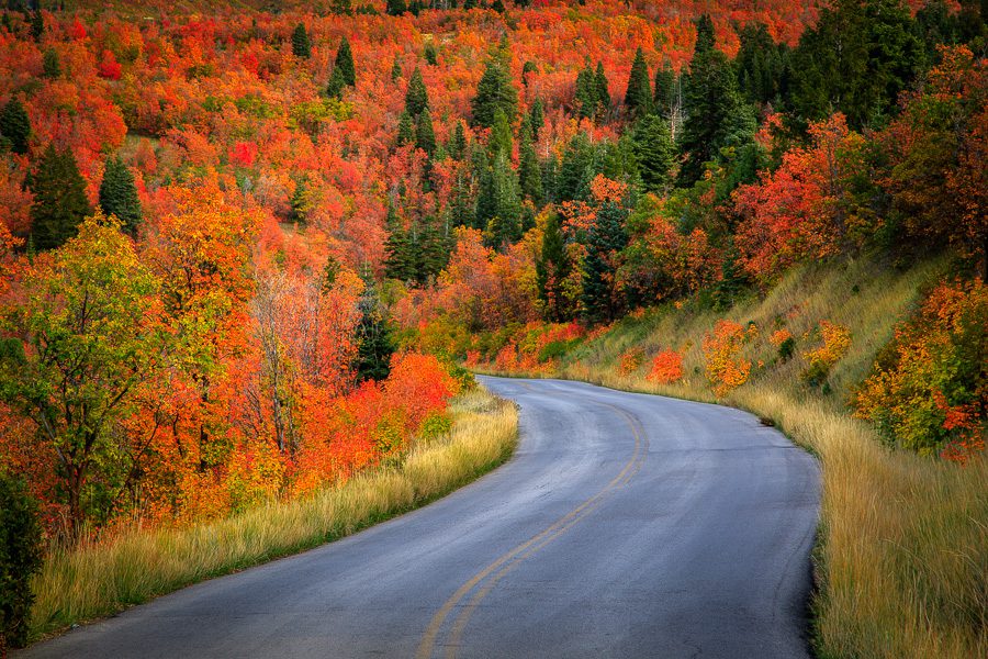 Northern Utah Fall Colors Photo Workshop Wasatch Uintas Northern Utah Fall Colors Photo Workshop Wasatch Uintas