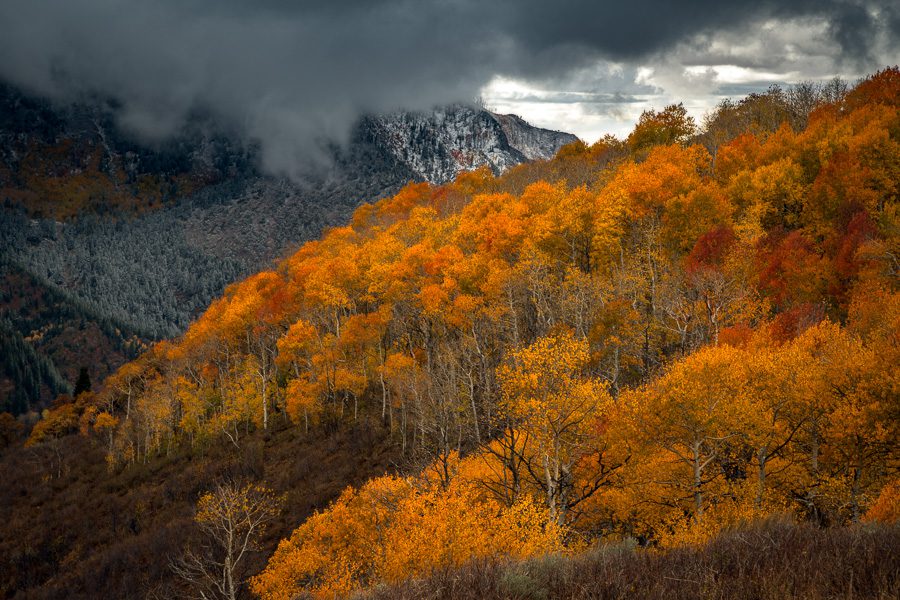 Northern Utah Fall Colors Photo Workshop Wasatch Uintas