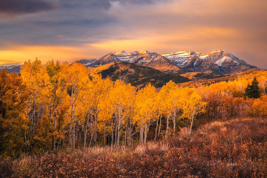 Northern Utah Fall Colors Photo Workshop Wasatch