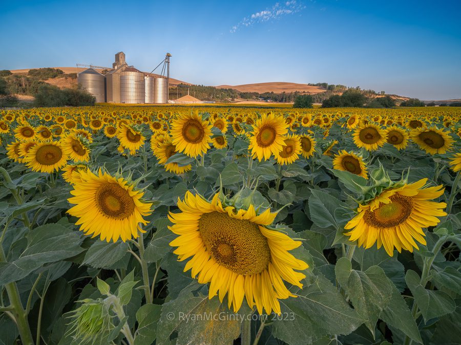 Palouse Harvest Photo Workshop