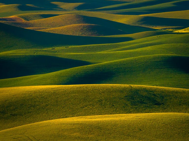 Spring in the Palouse Photo Workshop : Action Photo Tours