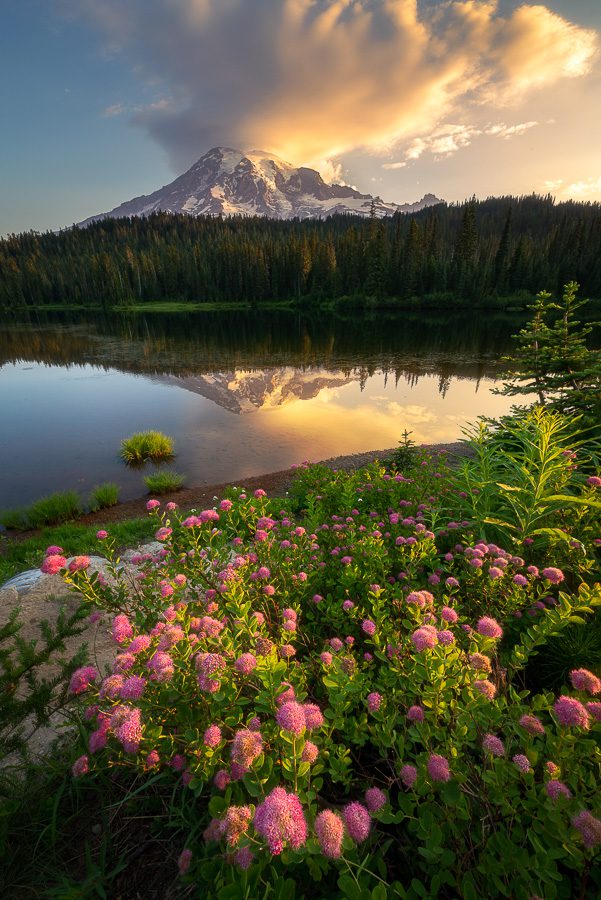 Mt Rainier Wildflowers Photo Workshop