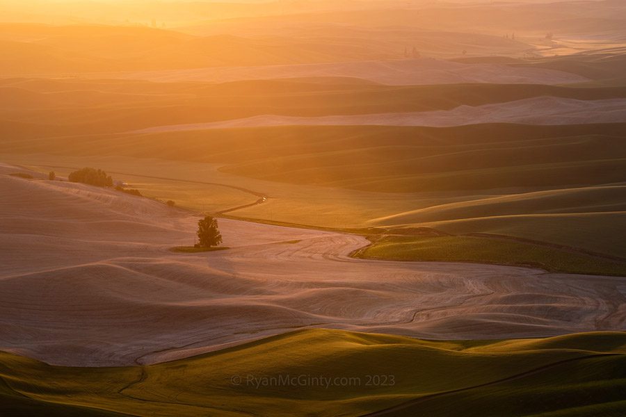 Palouse Spring Photo Workshop