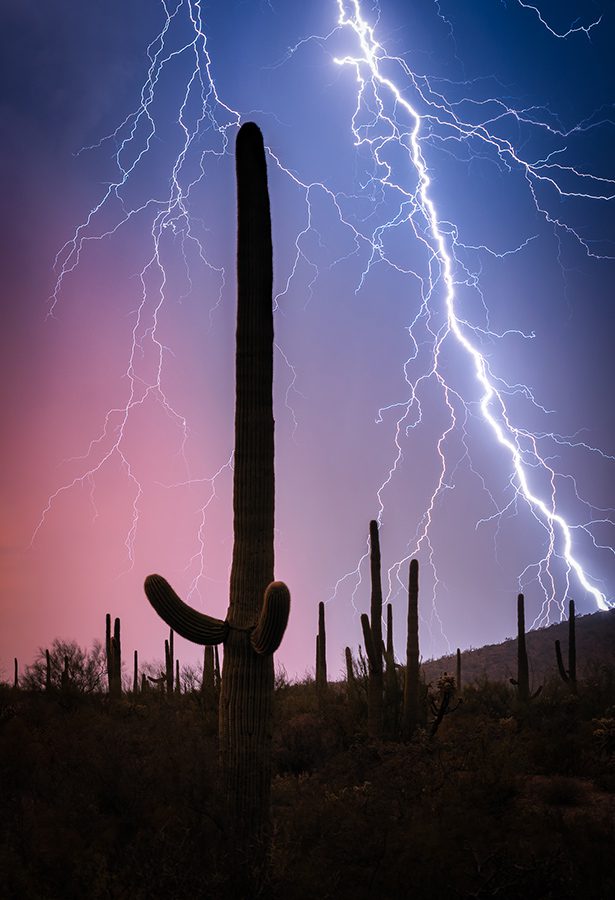Storms and Saguaros Photo Workshop Lightning Monsoon