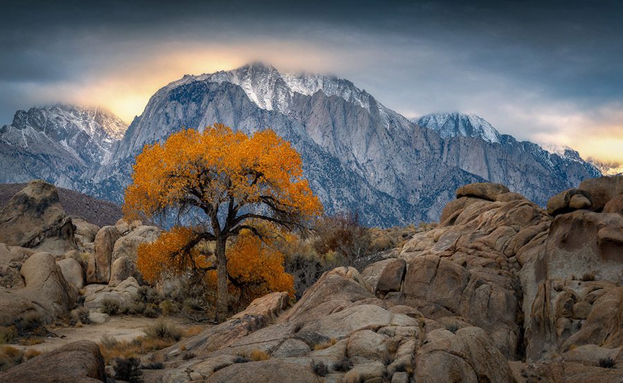 Eastern Sierras Photo Workshop Death Valley California Autumn