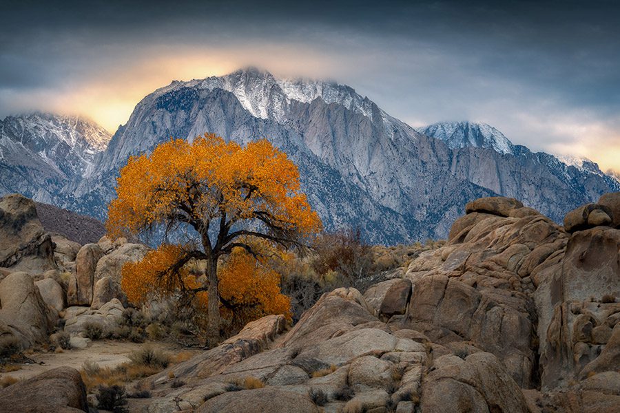 Eastern Sierras Photo Workshop Death Valley California Autumn