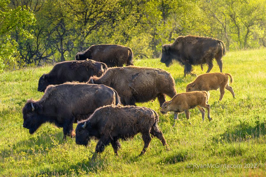 South Dakota Badlands Photo Workshop