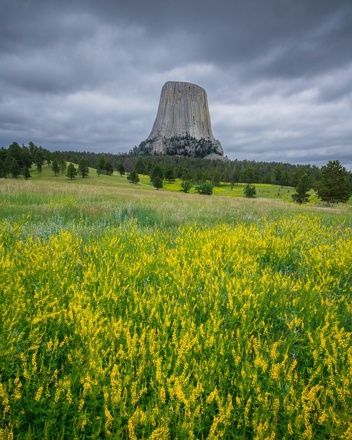 South Dakota Badlands Photo Workshop Devils Tower