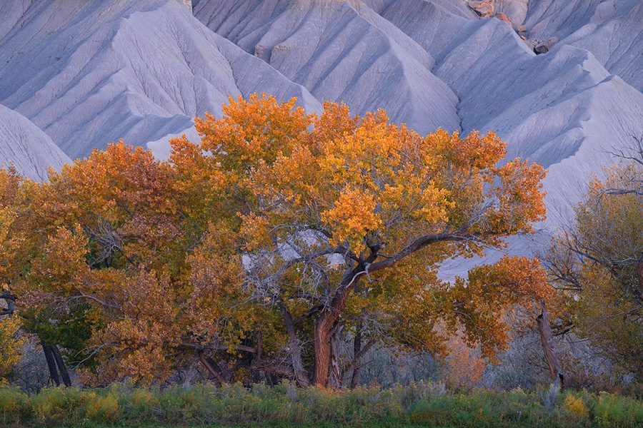 Southern Utah Fall Colors Blue Hills