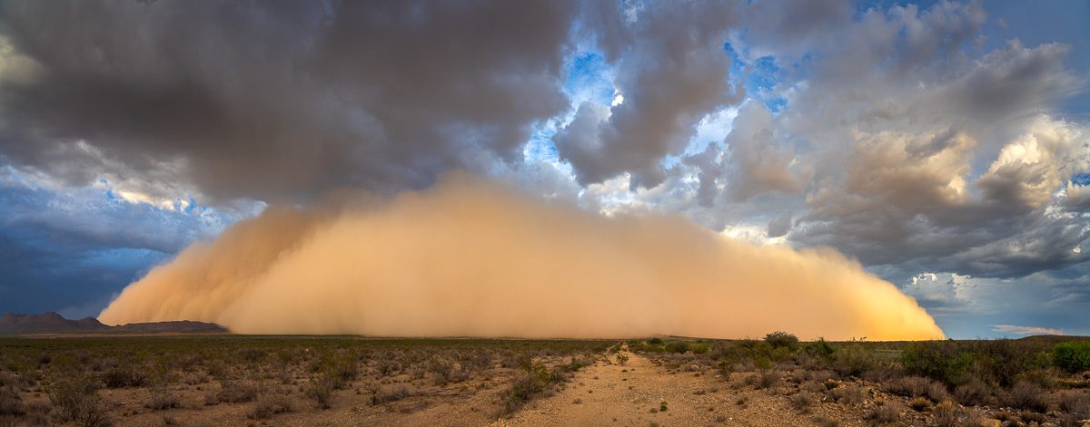 Storms and Saguaros Arizona Storm Chasing Workshop