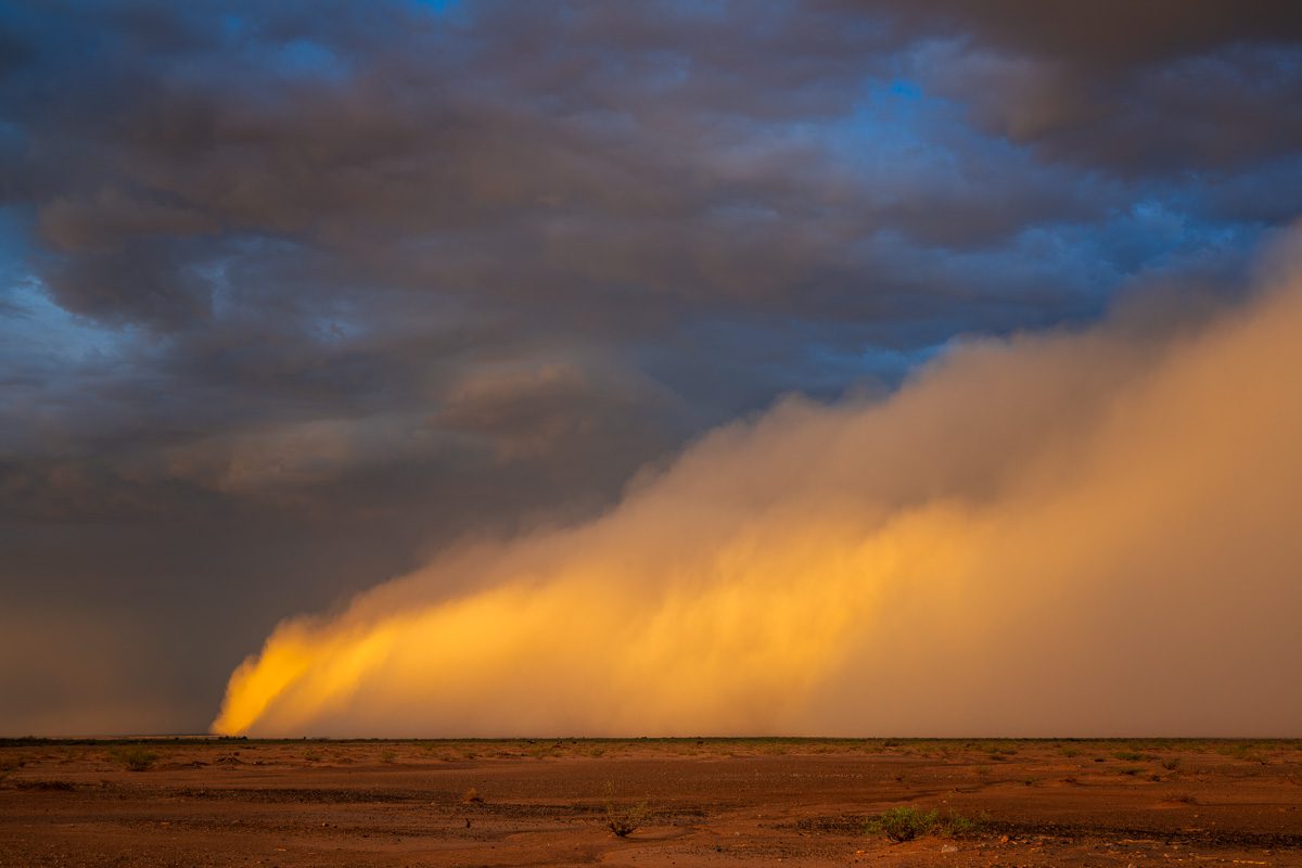 Storms and Saguaros Arizona Storm Chasing Workshop