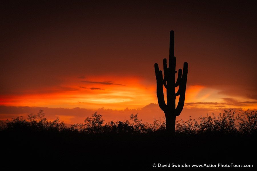 Storms and Saguaros Storm Chasing Workshop David Swindler