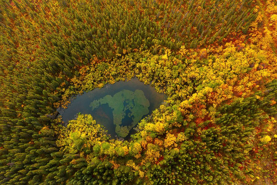 Images from the Dalton Highway north of Fairbanks in the state of Alaska during fall season