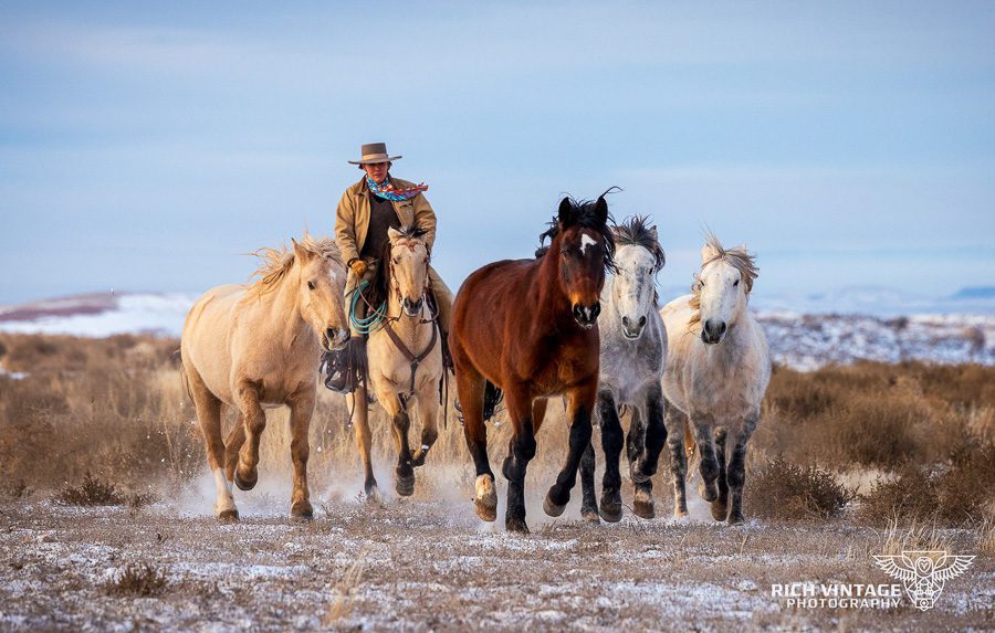 Winter Horse Ranch Photo Workshop