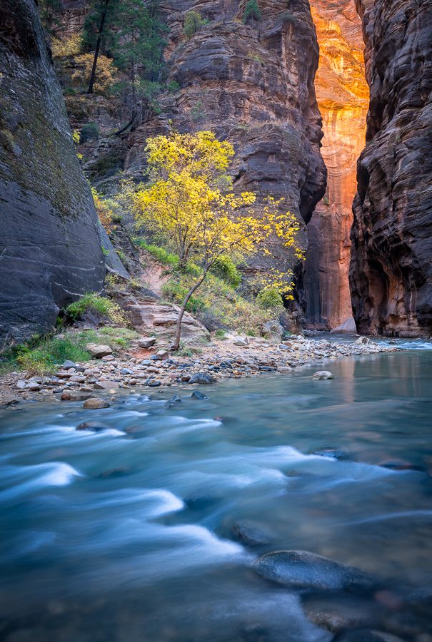 Zion National Park Photo Workshop Autumn Canyon Colors