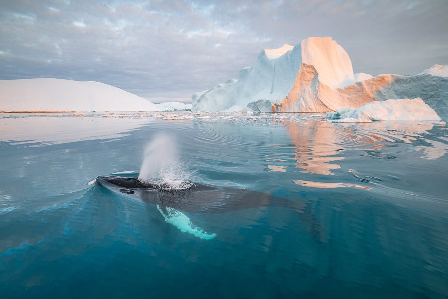 greenland photo workshop