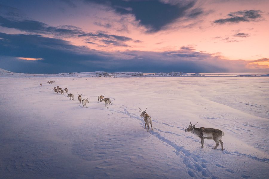 Winter in Iceland Photo Workshop