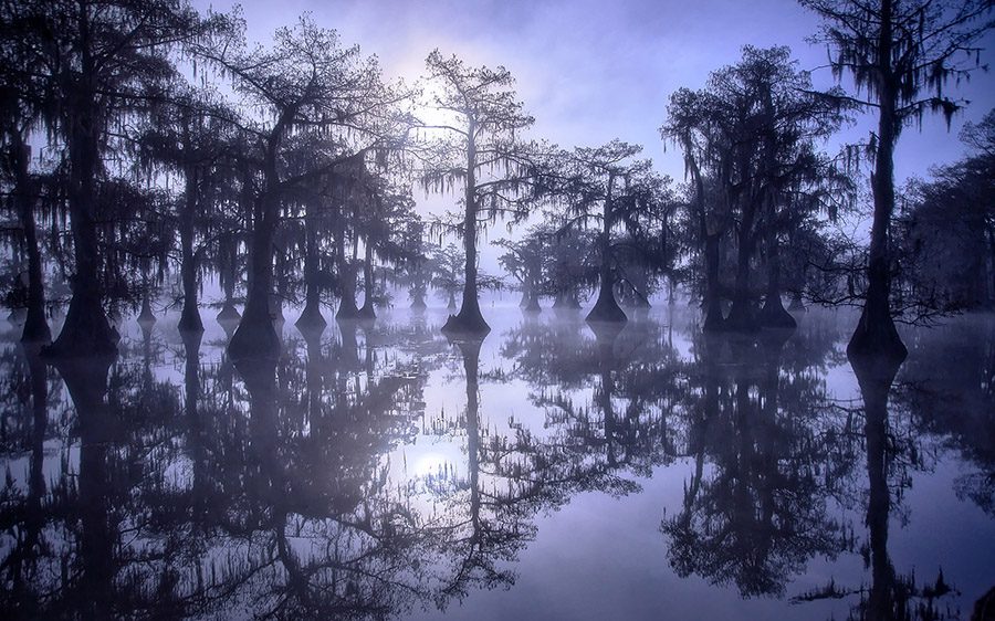 Cypress Swamps Photo Workshop Caddo Lake Texas