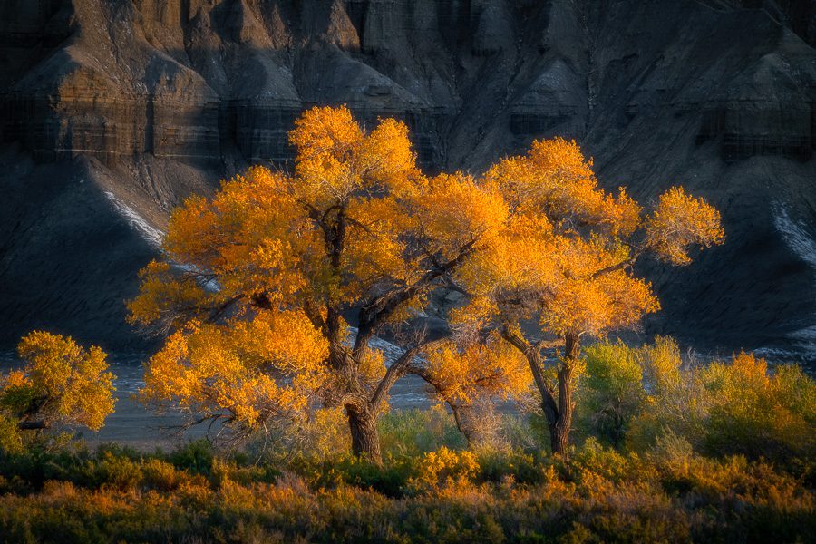 Utah Badlands Fall Colors Photo Workshop