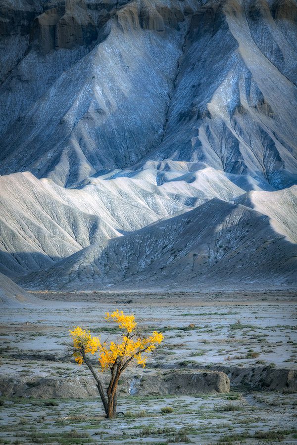 The Utah Badlands offer a stunning variety of shooting opportunities.  And autumn is one of my favorite seasons to visit!  Our group really enjoyed shooting this lone tree at peak fall color.  It's really unique how it stands alone in such an unforgiving landscape. Want to join us this fall?  Spots are available but filling fast:  https://actionphototours.com/workshops/beyond-the-badlands-fall-2022/