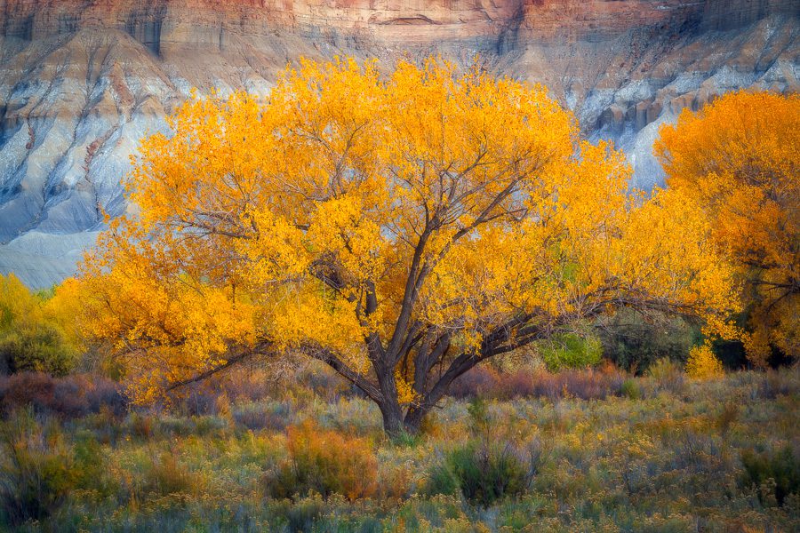 Utah Badlands Photo Workshop Autumn Fall Colors