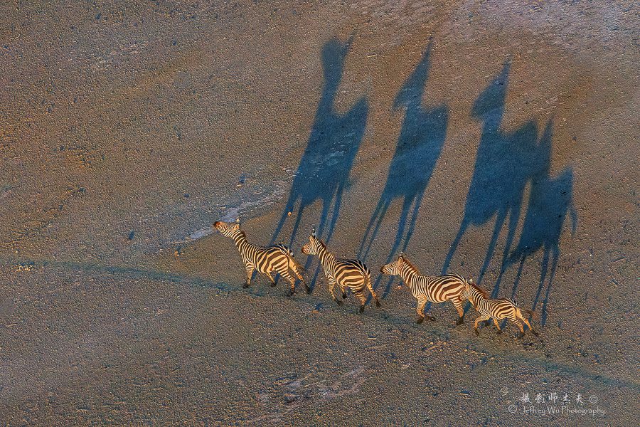Kenya Wildlife Photo Safari-13